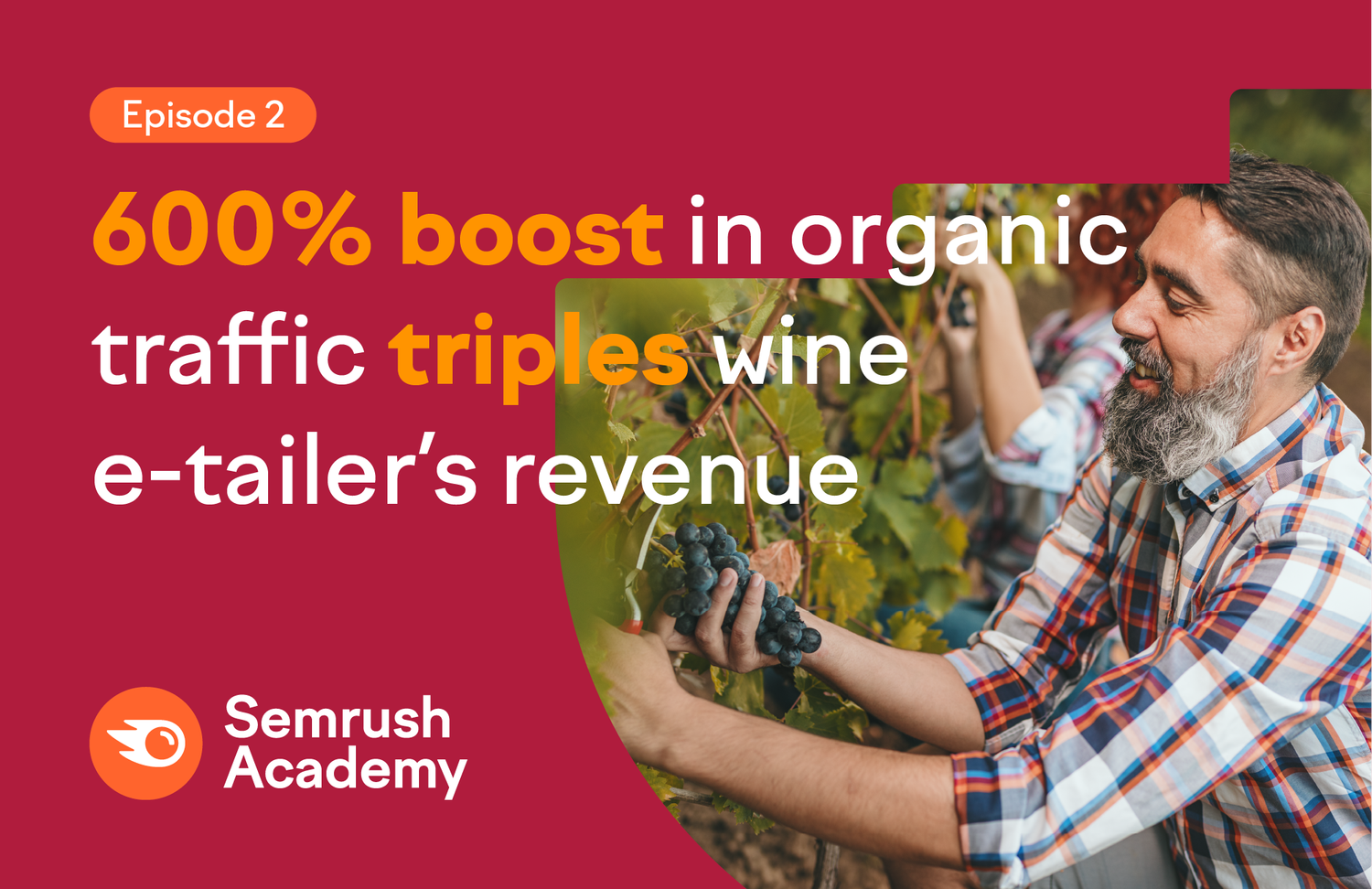 agency-wine-shop-case-study