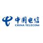 New York, New York, United States agency BusySeed helped China Telecom grow their business with SEO and digital marketing