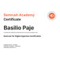 Taguig, Metro Manila, Philippines agency Rank On Top wins Semrush academy award