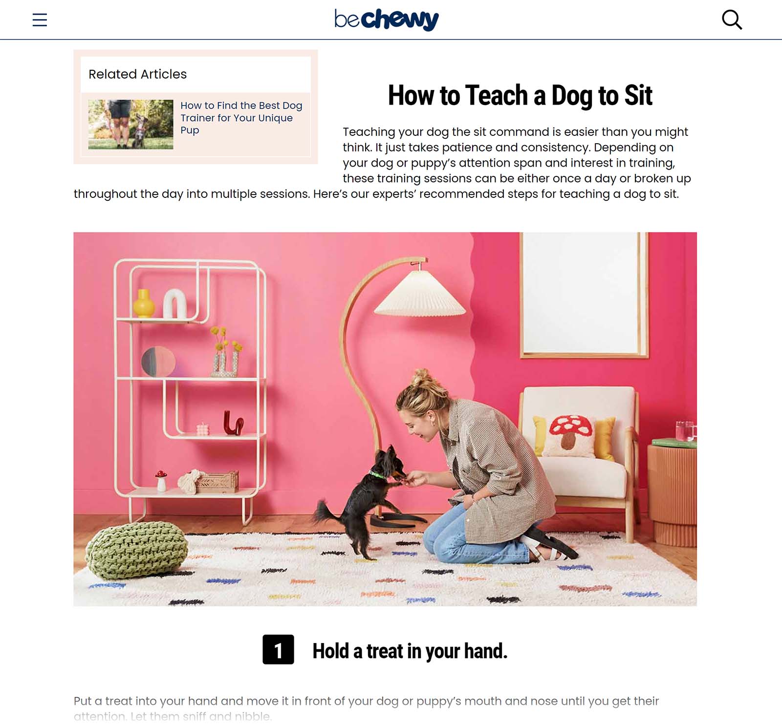 Chewy blog post on 'How to teach a dog to sit'