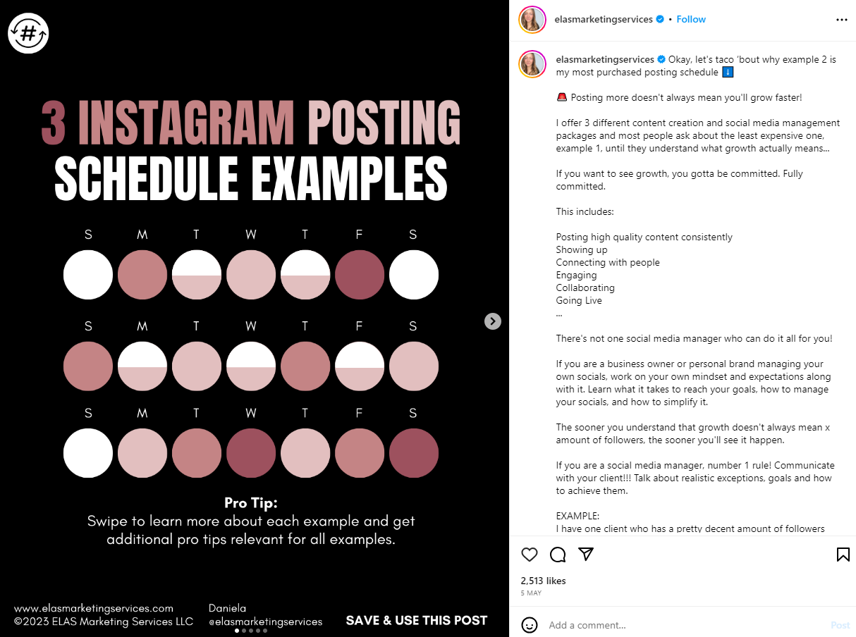 Daniela Schrittenlocher's post on "3 Instagram posting schedule examples"