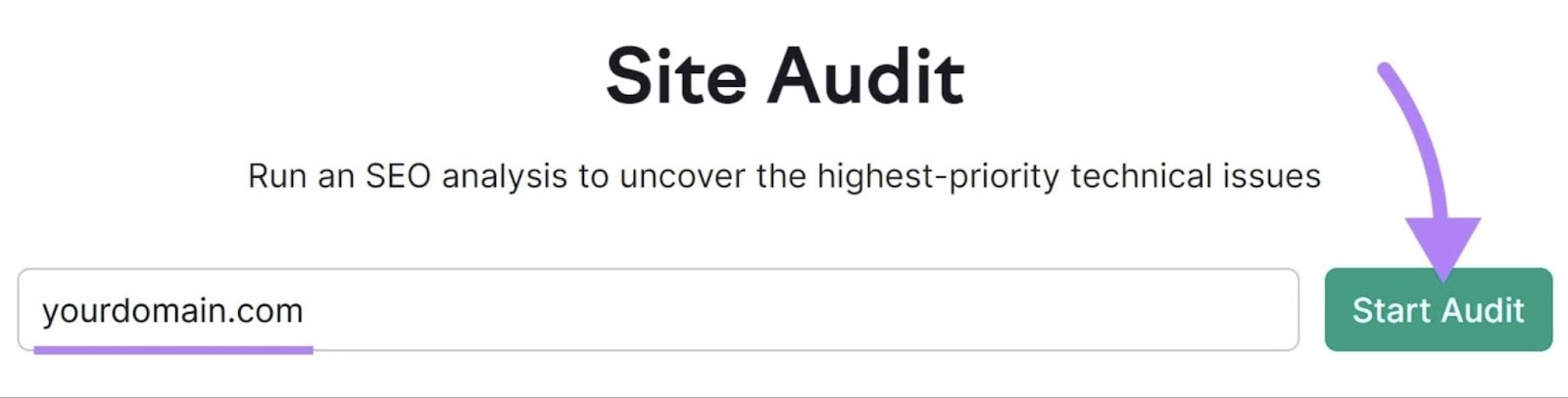 Site Audit tool search bar