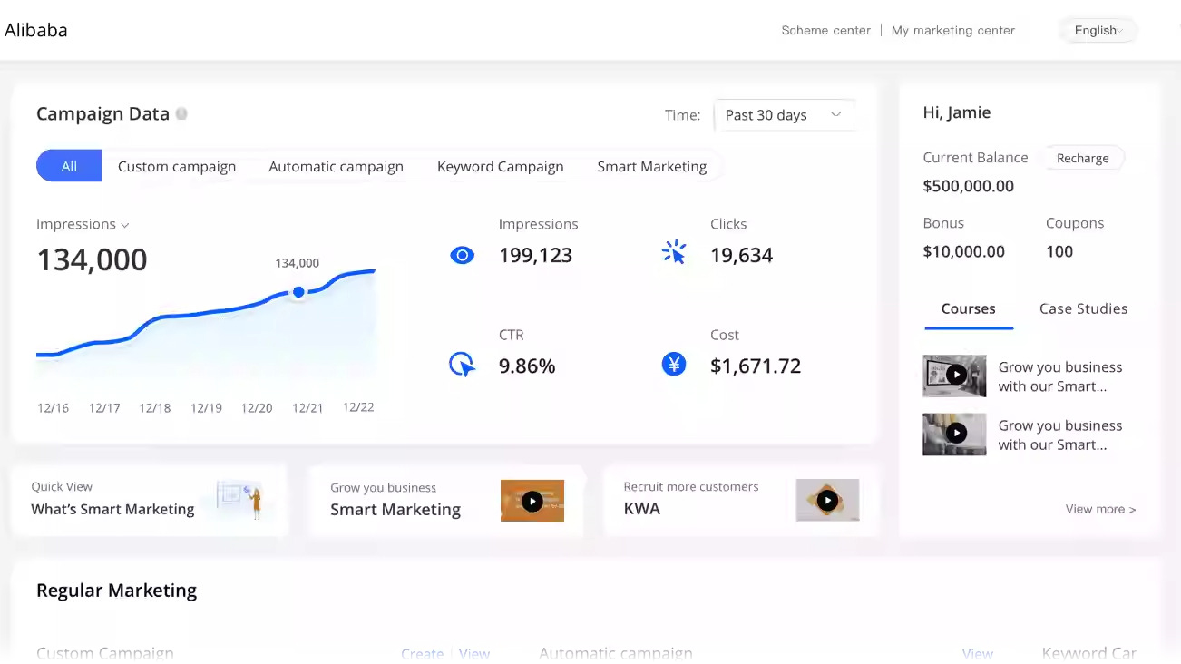 Alibaba's dashboard showing campaign data