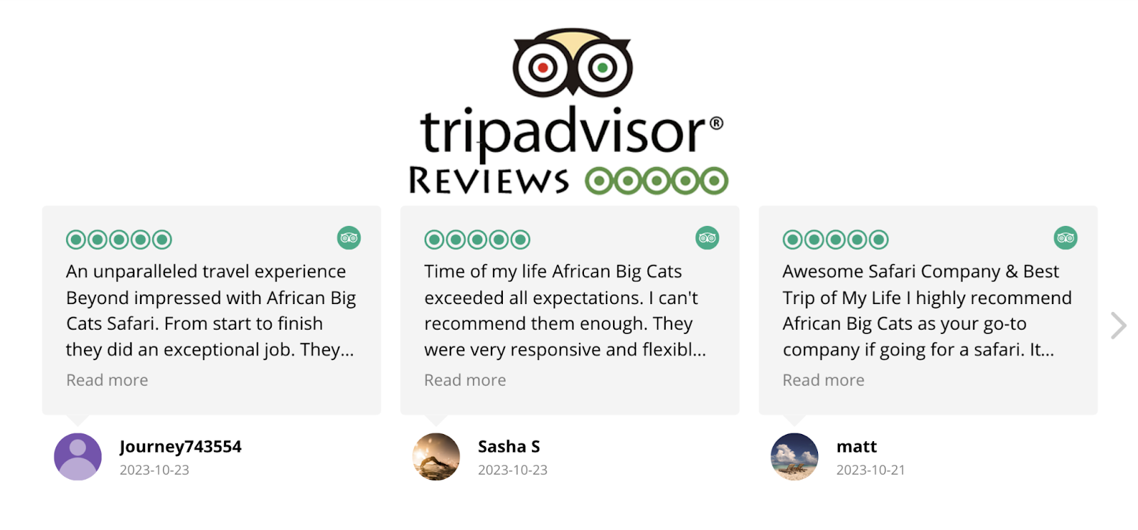 Tripadvisor review widget shows three brief, recent reviews from customers.