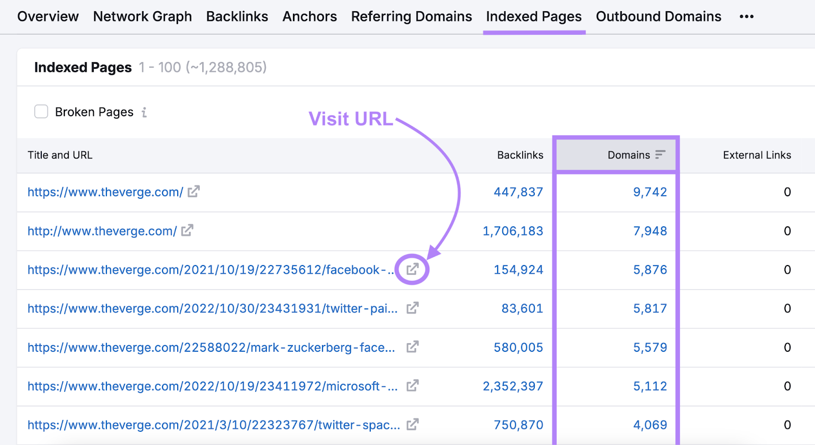 navigation highlighted with visit URL icon and domains column