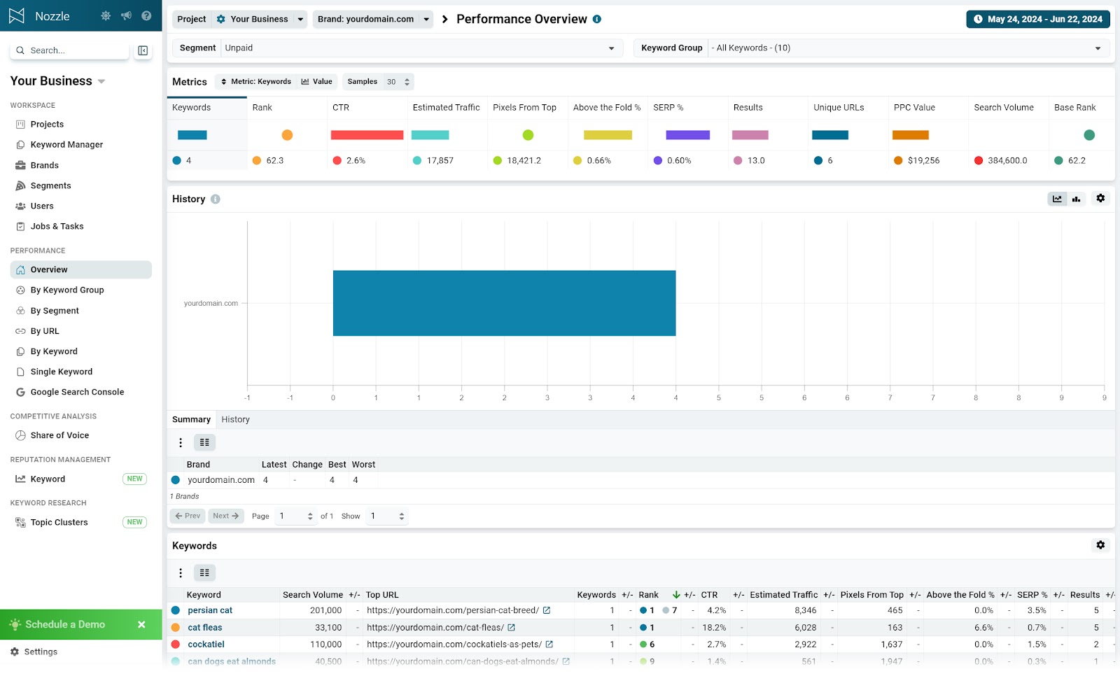 "Performance Overview" tab of the Nozzle rank tracking tool.