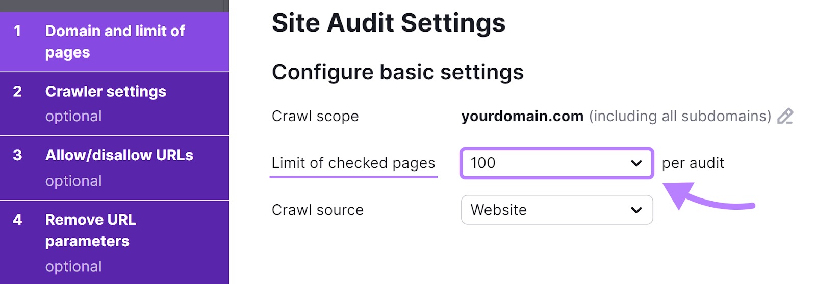 "100" pages set next to “Limit of checked pages” box