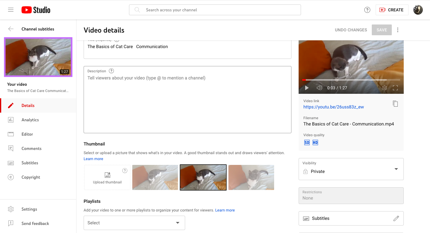 A screenshot of the video details form in YouTube Studio.