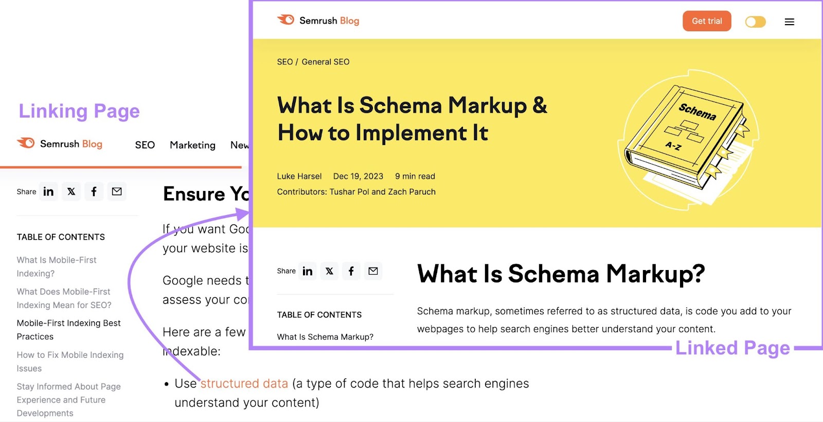 "structured data" anchor text links to blog on schema markup