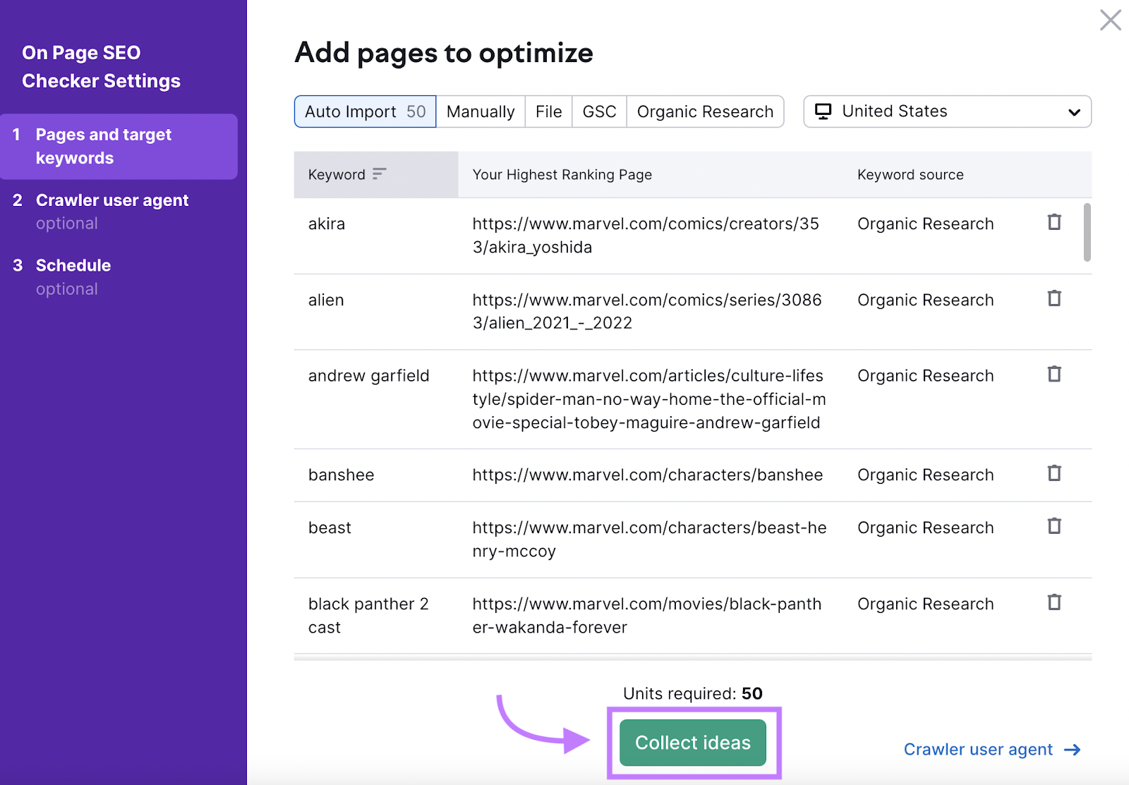 On Page SEO Checker Settings