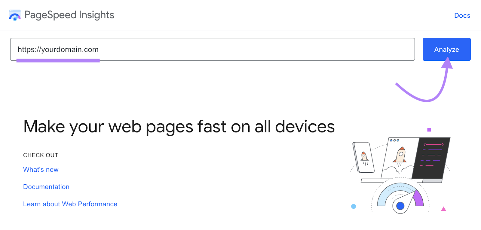 page url entered into pagespeed insights