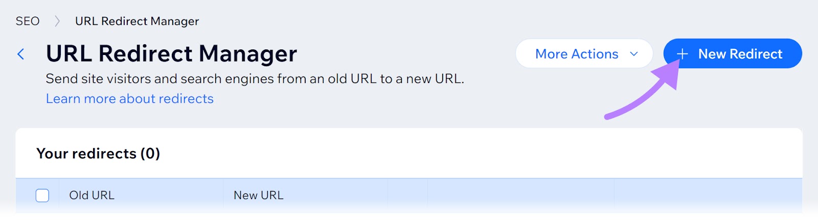 “+ New Redirect” button selected at the top right corner