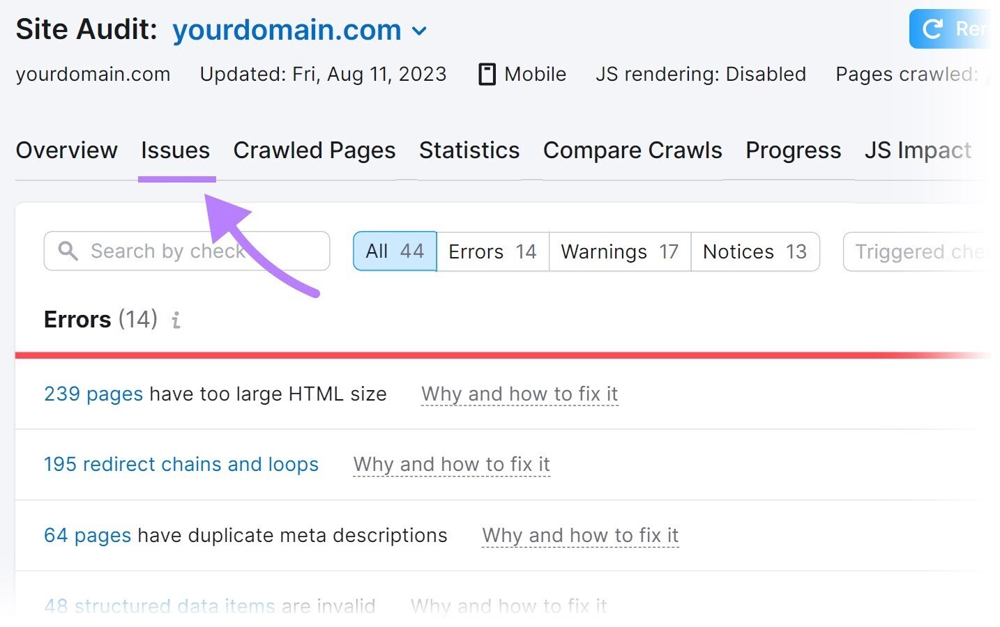 “Issues” tab in the Site Audit tool