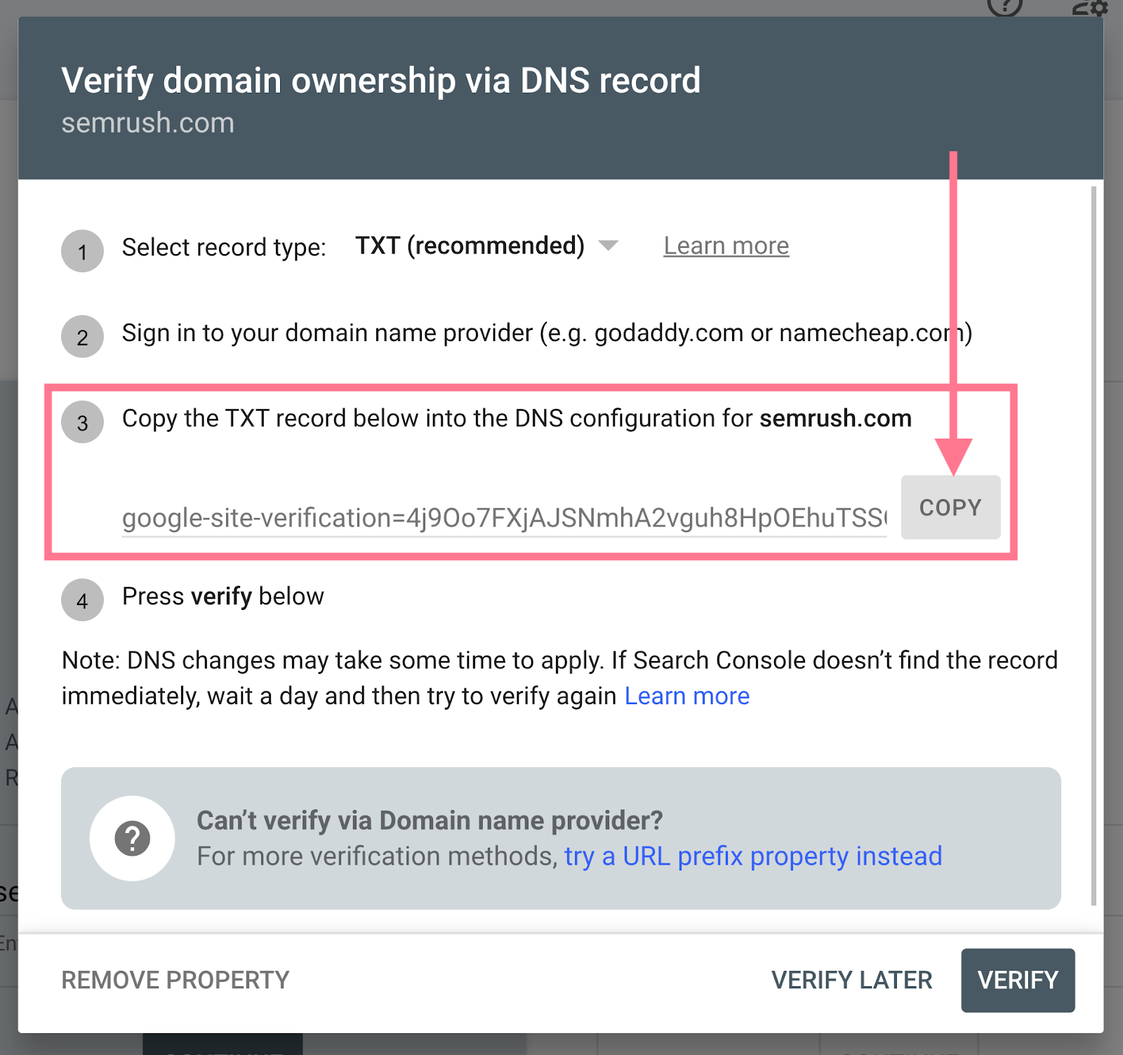 copy the TXT record