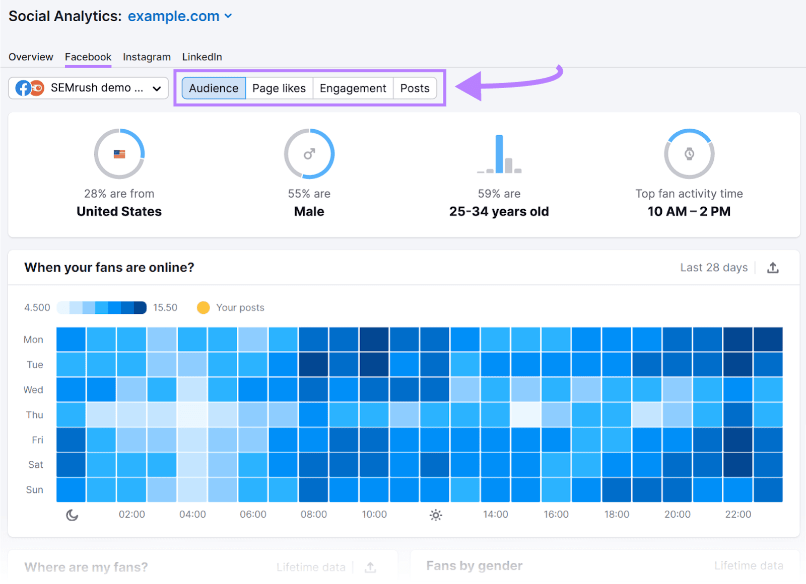 Facebook Audience dashboard in Social Analytics tool