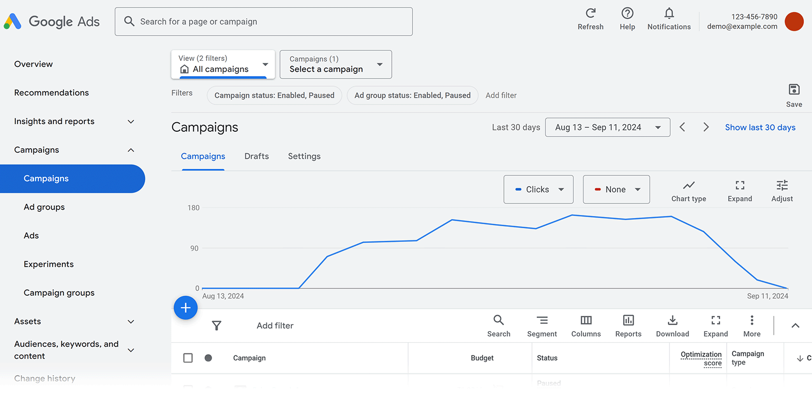 Google Ads dashboard showing Campaigns report