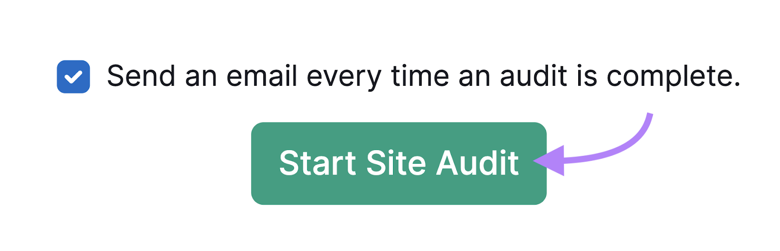 “Start Site Audit” button