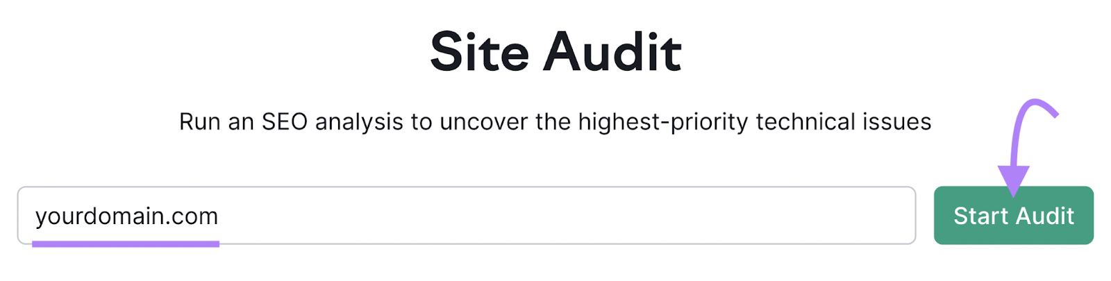 domain entered into Site Audit tool