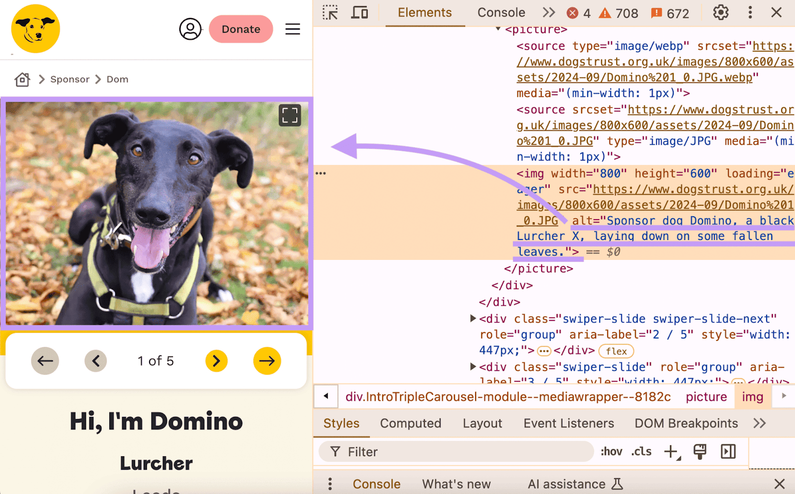 Alt text found in a page's code for a dog picture that says "Sponsor dog Domino, a black Lurcher X, laying down on some fallen leaves."