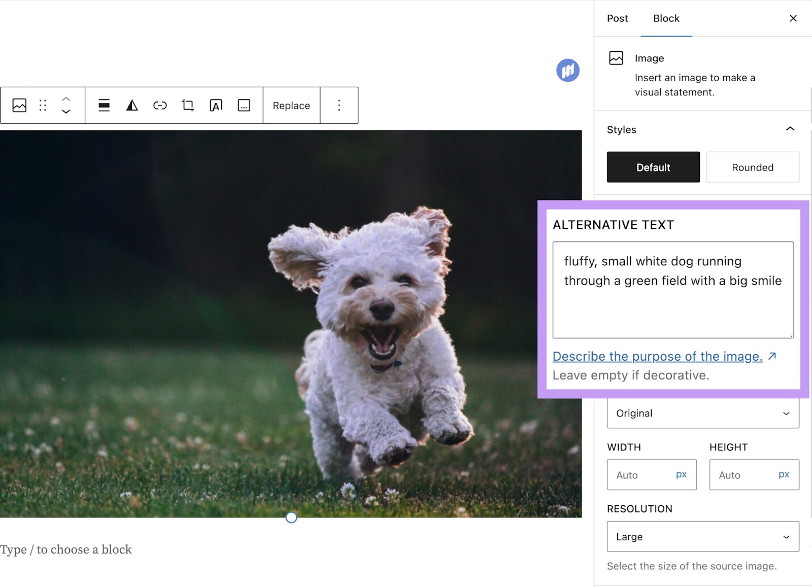 Box for alt text in WordPress highlighted with the text "fluffy, small white dog running through a green field with a big smile" entered into the box