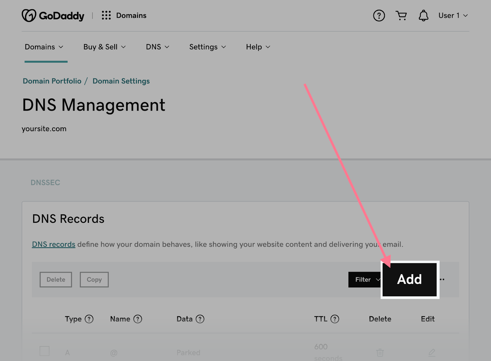 DNS Management window