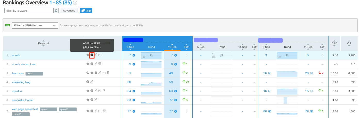 AMP in SEMrush Position Tracking report