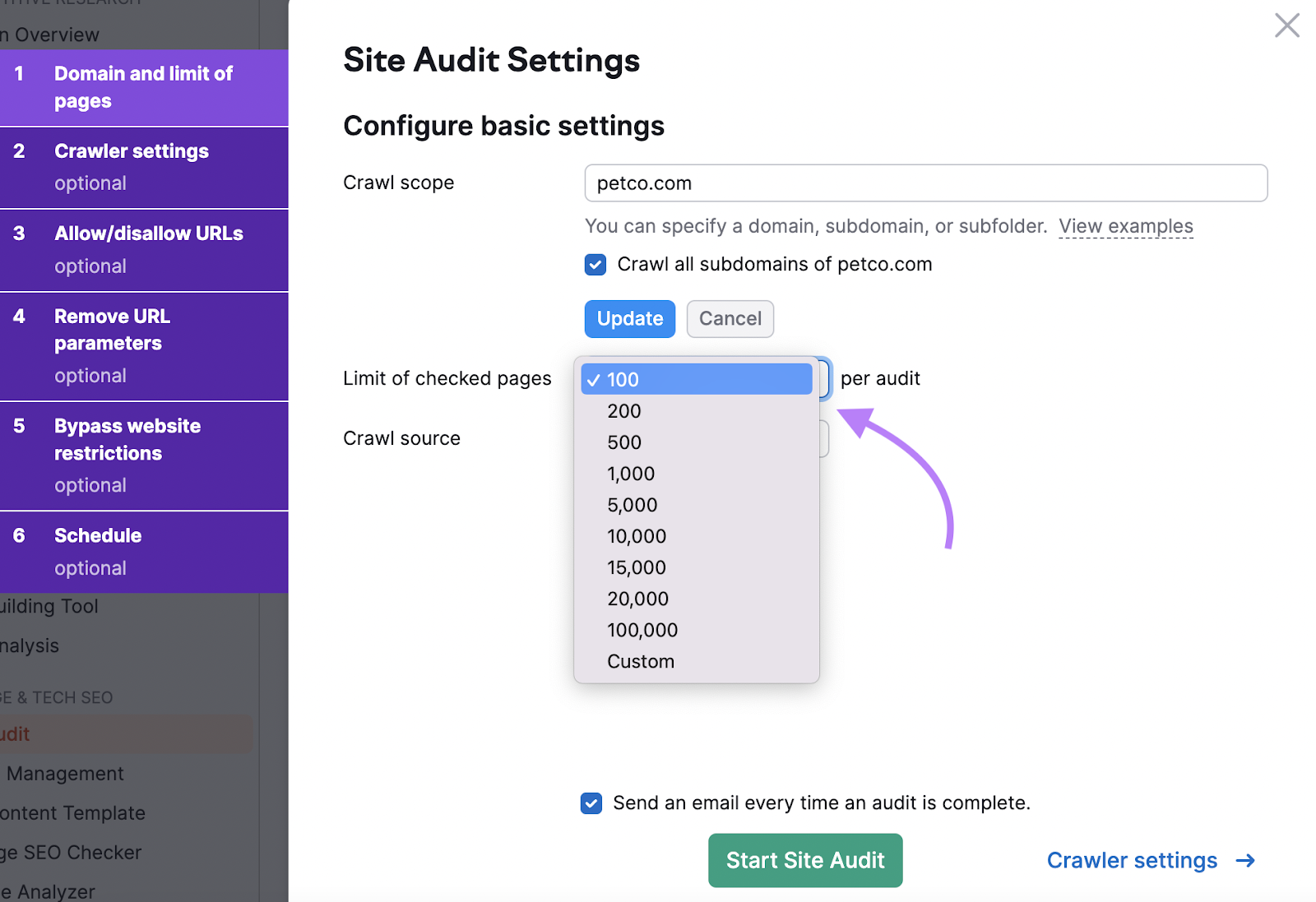 "100" selected under "Limit of checked pages" drop-down menu