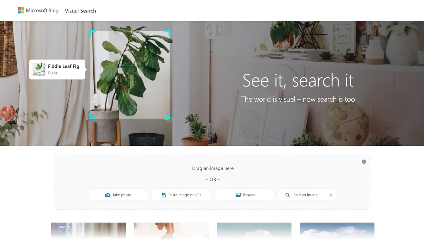 Bing Visual Search engine