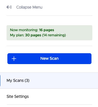 Click the “New Scan” button to scan a new website.